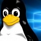 Let’s Chat: Windows vs. Linux