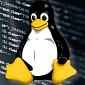 Linus Torvalds Releases the “Really Big” Linux Kernel 5.8
