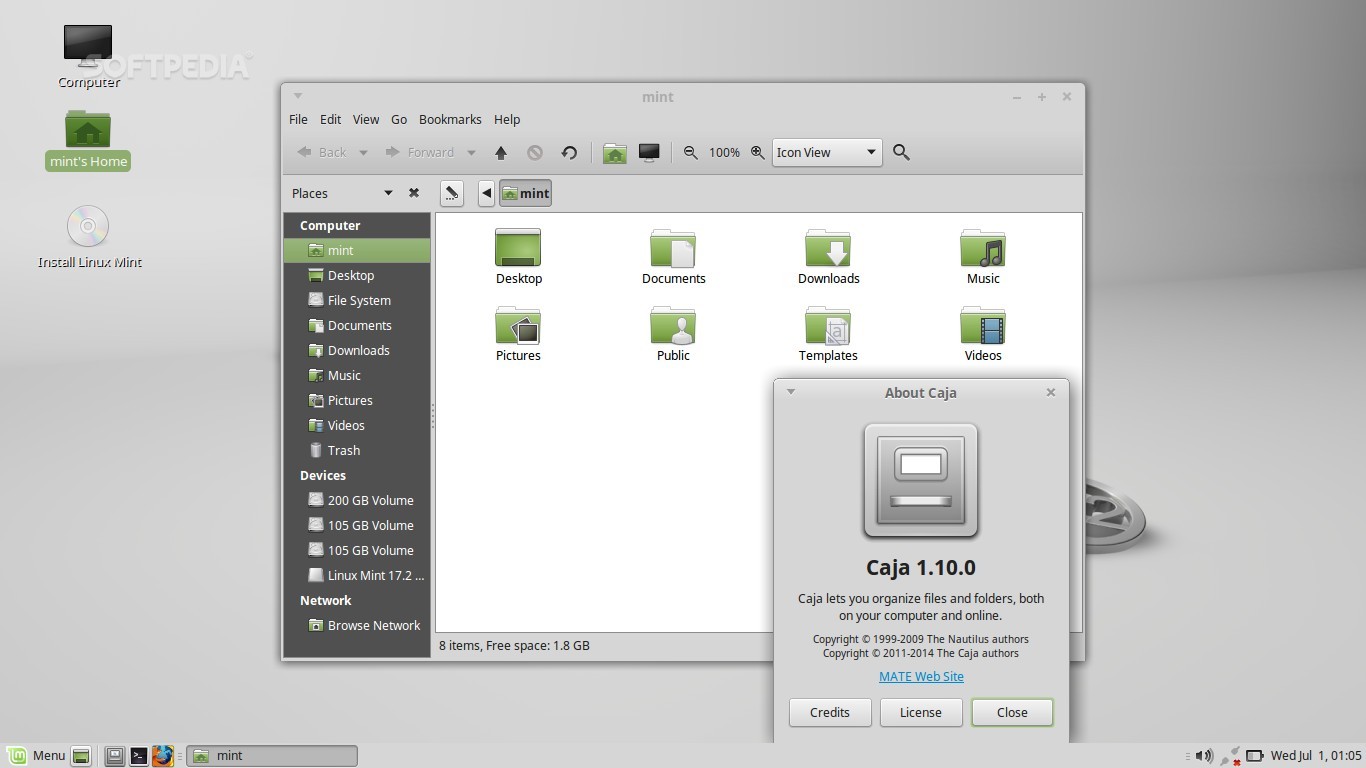 best download manager for linux mint 17