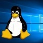 Linux Still Not a Threat to Windows 10’s Home Domination
