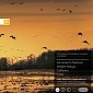 Microsoft Bing: a Search Engine with Stunning Wallpapers and Now with Background Sound