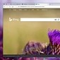 Microsoft Edge Said to Be Sending Full URLs of the Sites You Visit to Microsoft