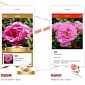 Microsoft Launches iPhone-Exclusive App That Can Identify Flowers