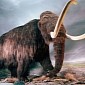 Millennia-Old Mammoth Remains Discovered by Farmer in Michigan