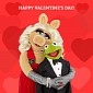 Miss Piggy and Kermit The Frog Announce Split, the Internet Is Gutted