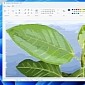 New Microsoft Paint App Now Available for Windows 11 Users
