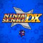 Ninja Senki DX Review (PC)