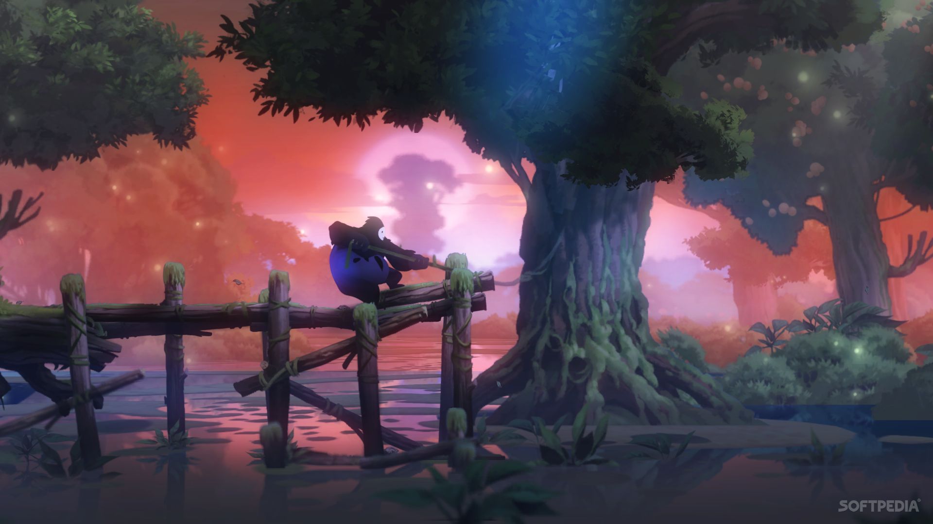 Ori and the Blind Forest: Definitive Edition Images. 