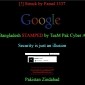 Pakistani Hackers Hijack Google Website