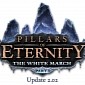 Pillars of Eternity - The White March Gets Patch 2.02