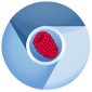 Raspberry WebKiosk 6.0 Released for Raspberry Pi, Based on Raspbian Jessie Lite