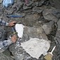 Remains of Ancient Long-Necked Marine Reptile Found in Alaska