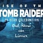 Rise of the Tomb Raider: 20 Year Celebration Is Out Now on Linux