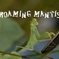 Roaming Mantis Group Adds Phishing and Web Crypto Mining for iOS Devices