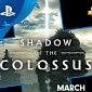 Shadow of the Colossus and Sonic Forces Are March's Free PS Plus Games