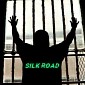 Silk Road Admin and Forum Moderator Pleads Guilty, Faces 20 Years Behind Bars