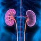 Sitting or Lying Long Hours Puts Your Kidneys at Risk
