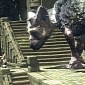 Sony: The Last Guardian and GT Sports Will Arrive This Year