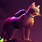 Stray Is a Cat Adventure Game with Neon, Cyberpunk Vibes