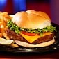 Study Finds Evidence Junk Food Makes the Brain Shrink