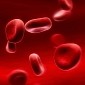 Young Blood Reverses Aging and Now Vampires Make Sense