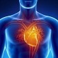 The Hearts of Men and Women Age Differently, Study Finds
