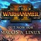 Total War: WARHAMMER II Is Out Now on Linux and Mac, Ported by Feral Interactive