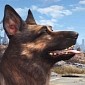 Two Fresh Fallout 4 Videos Focus on Dogmeat, Companion System