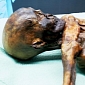 Ötzi the Iceman Has Living Relatives in Austria, Scientists Say