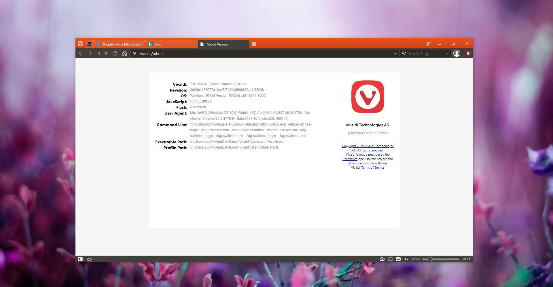 Vivaldi browser now features an abusive ad blocker