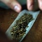 US Teens Are Giving Up Cigarettes, but Taking Up Marijuana Instead