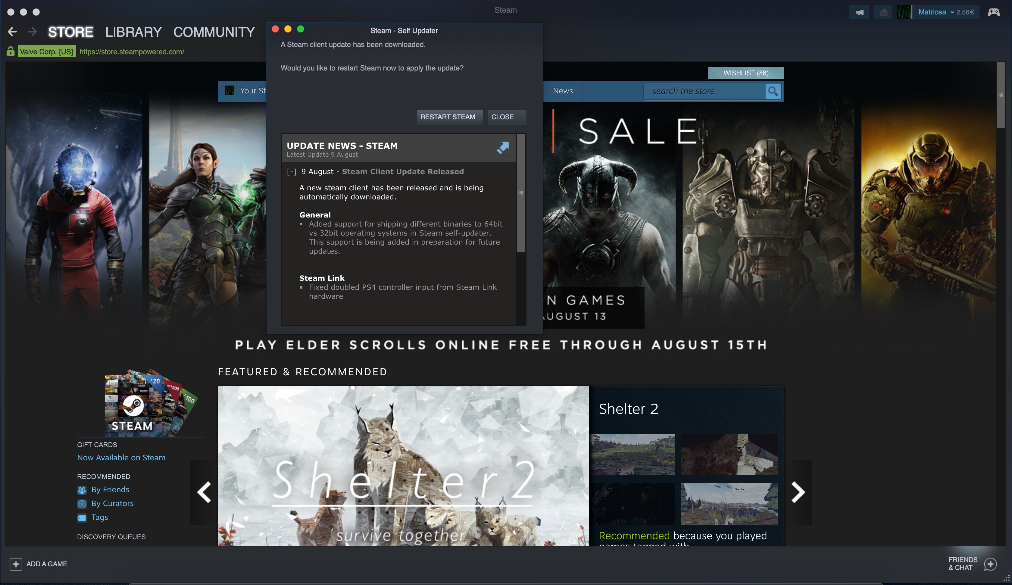download the last version for windows Steam 28.08.2023