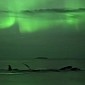 Watch: Humpback Whales Swimming Under the Northern Lights