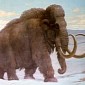 We Killed the Woolly Mammoth, Also the Saber-Toothed Tiger