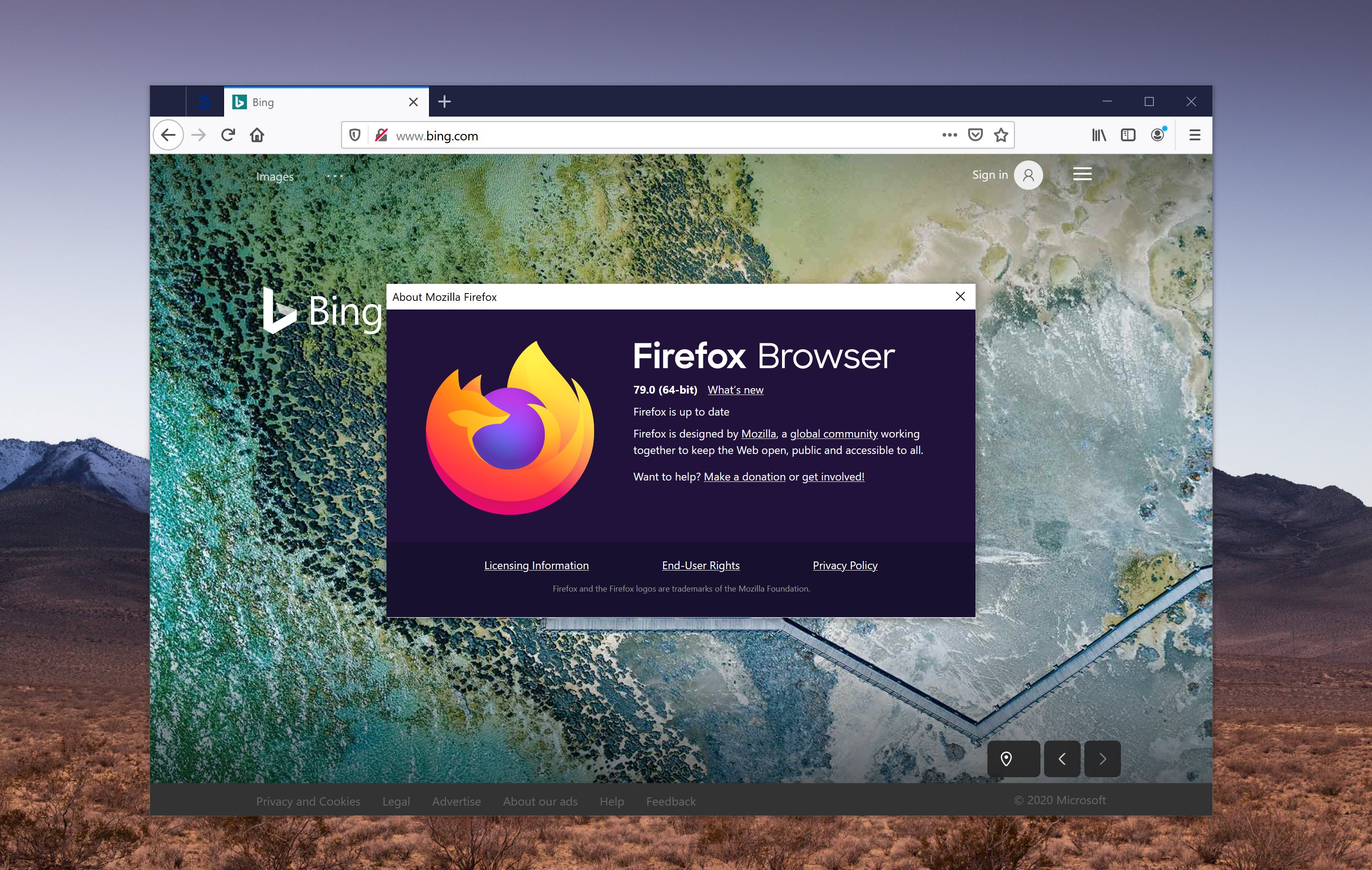 firefox for mac version 19