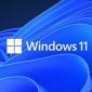 What’s New in Windows 11 Cumulative Update KB5010386