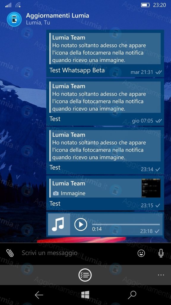 download whatsapp for windows phone