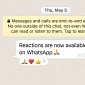 WhatsApp Reactions Now Support Pretty Much Any Emoji