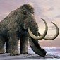 Woolly Mammoth Skeletal Remains Unearthed in Switzerland