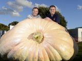 Ian and Stuart Paton pose with their massive pumpkin