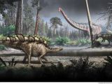 Artist's impression of a Stegosaurus stenops roaming forests 150 million years ago
