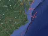 The shark's movements over the last month