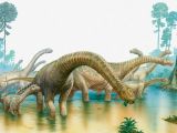 Herbivorous dinosaurs probably carried parasites in their bodies as well
