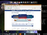 4MLinux with Internet browser