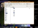 4MLinux Game Edition file manager