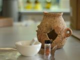 Ancient pots contain trace amounts of olive oil