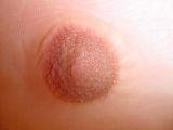 Close up of the nipple