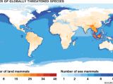 A diagram showing species endangerment levels in areas throughout the globe