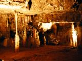 Postojna cave in the Karst region