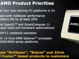 AMD's 2010 product priorities
